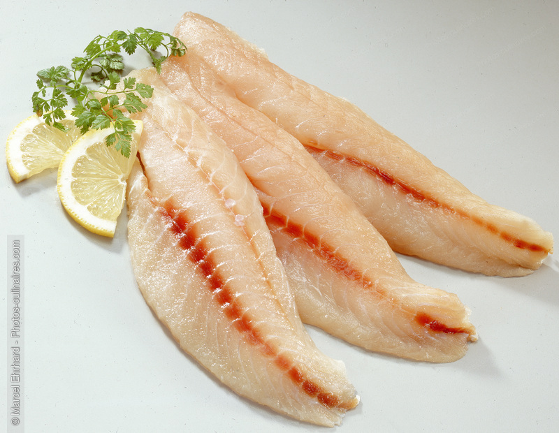 Filets de cardinal - photo r&eacute;f&eacute;rence PO674N.jpg