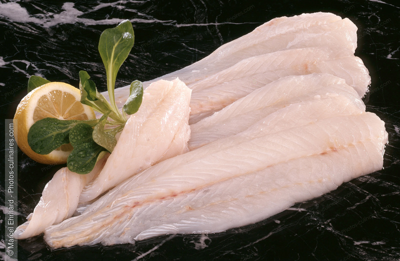 Filets de grenadier - photo r&eacute;f&eacute;rence PO49.jpg