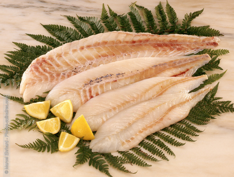 Filets de lieu jaune - photo r&eacute;f&eacute;rence PO54.jpg