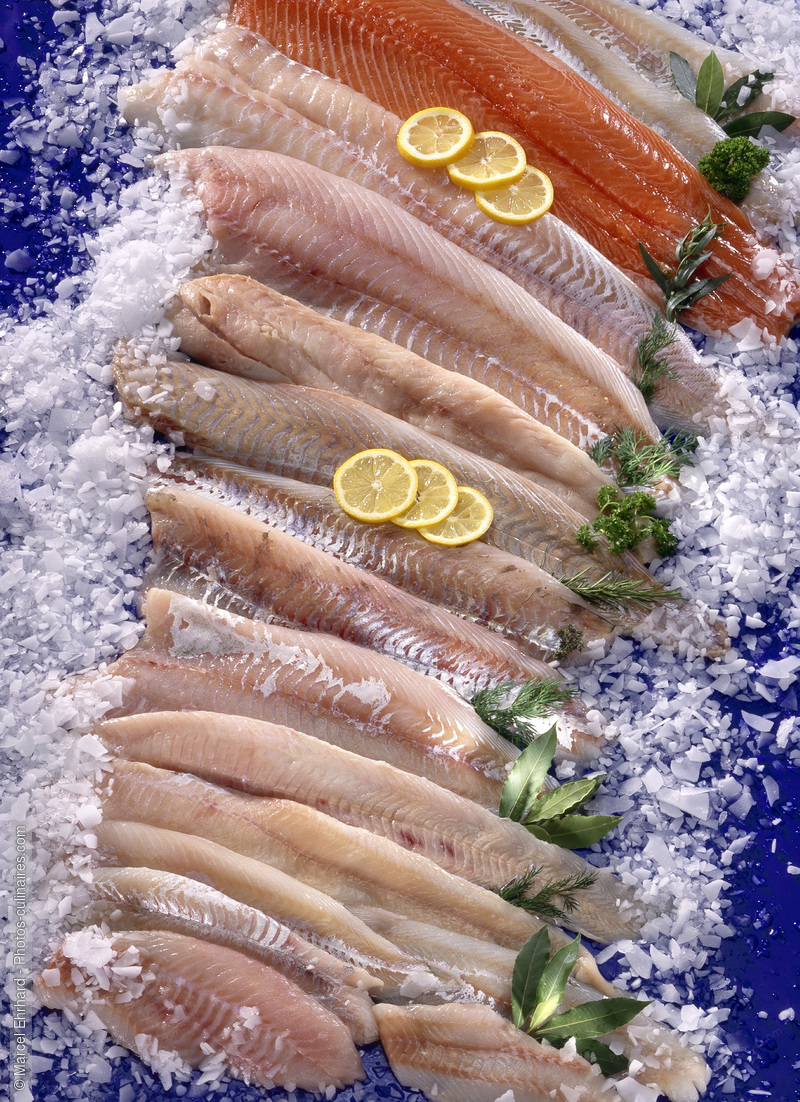 Filets de poissons crus - photo référence PO485.jpg
