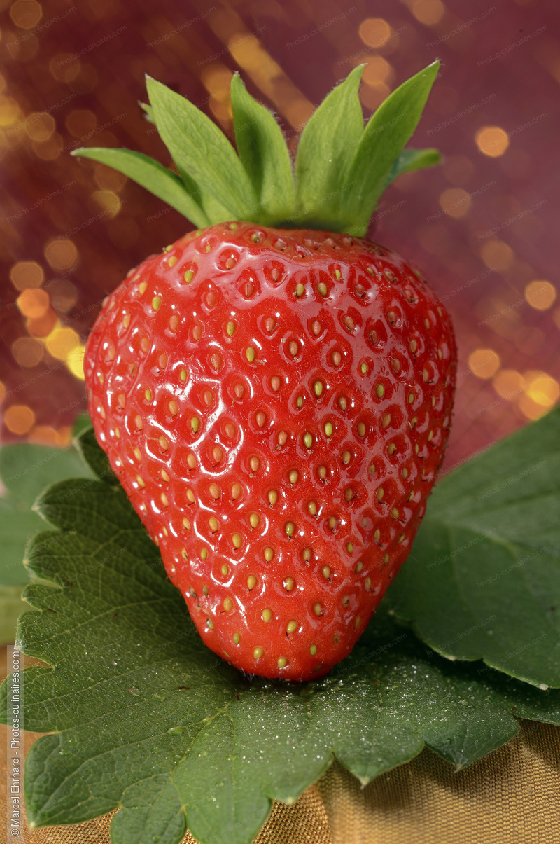 Fraise avec corolle - photo r&eacute;f&eacute;rence FRU328N.jpg