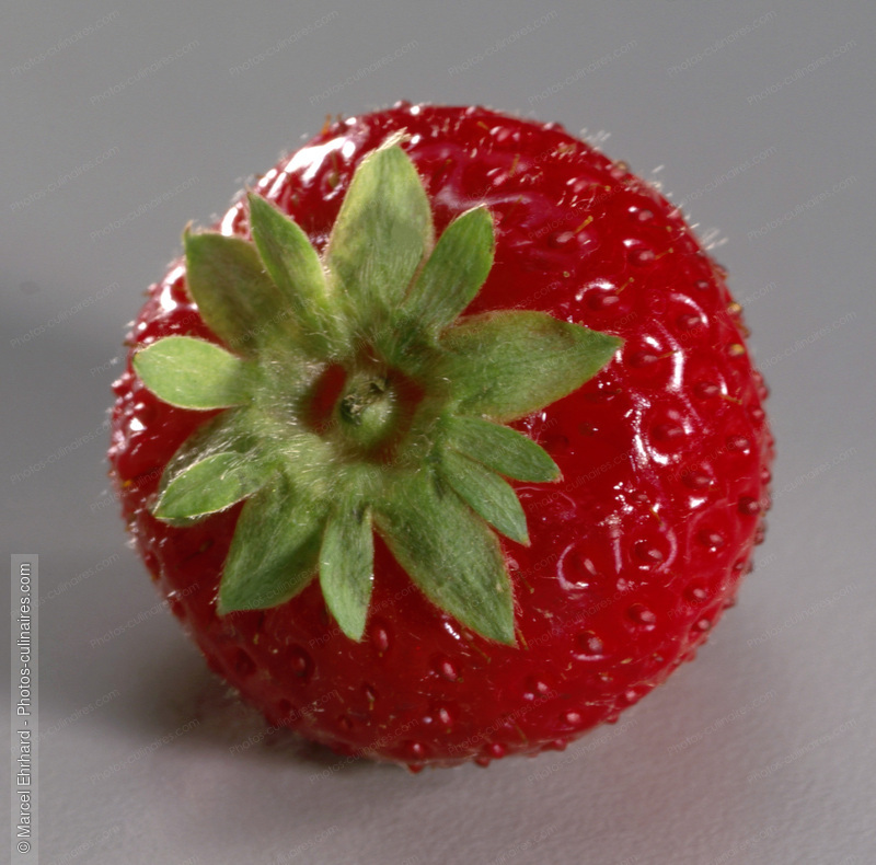 Fraise de 3/4 - photo r&eacute;f&eacute;rence FRU128.jpg