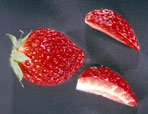 Fraise et quartier de fraise