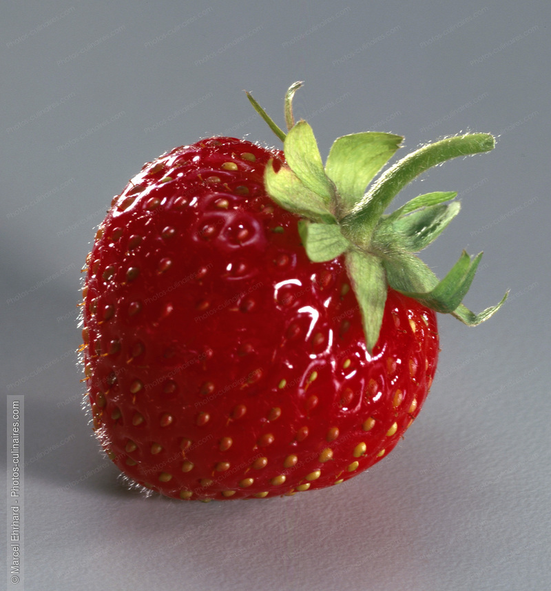 Fraise - photo r&eacute;f&eacute;rence FRU125.jpg