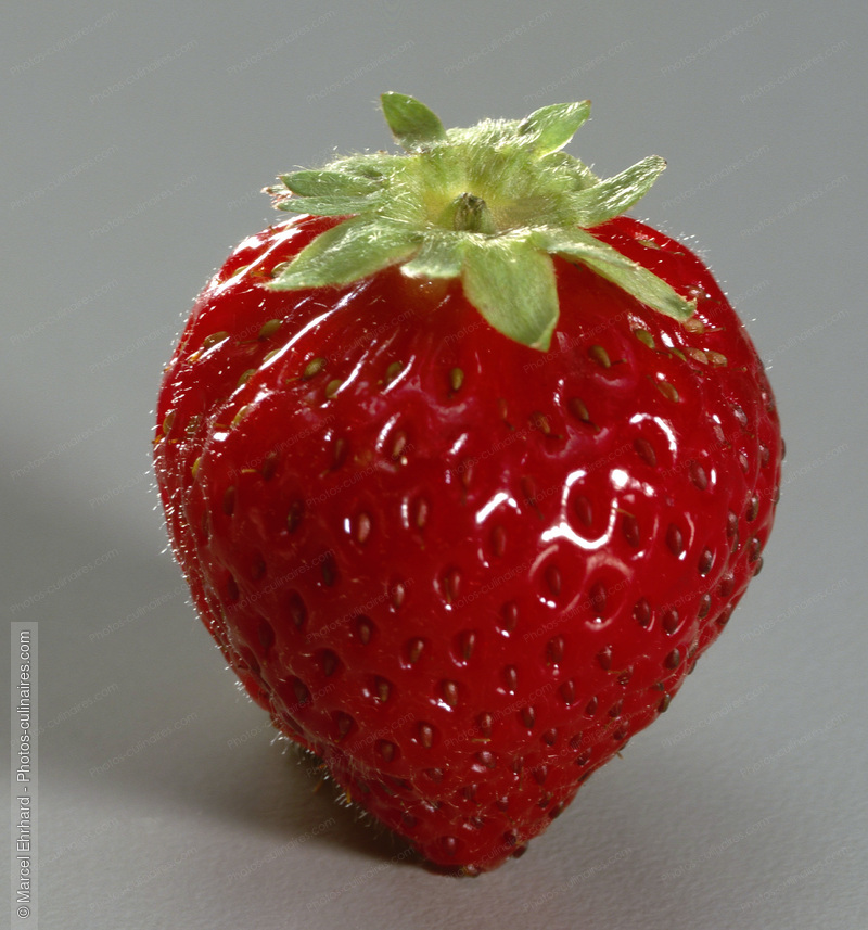 Fraise - photo r&eacute;f&eacute;rence FRU126.jpg