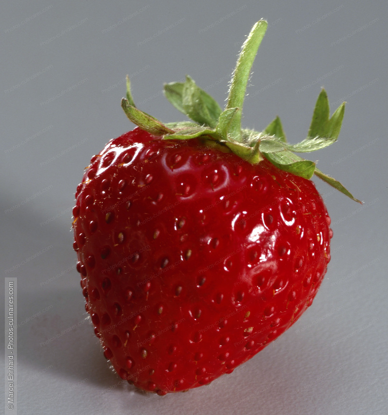 Fraise - photo r&eacute;f&eacute;rence FRU127.jpg