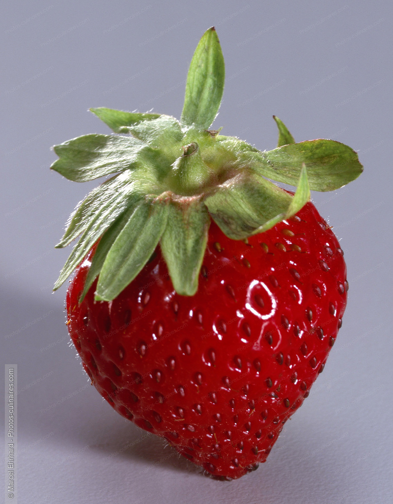 Fraise - photo r&eacute;f&eacute;rence FRU129.jpg