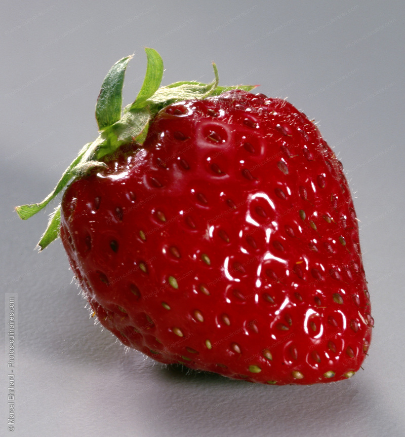 Fraise - photo r&eacute;f&eacute;rence FRU130.jpg