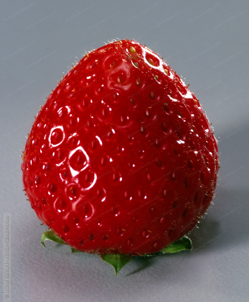 Fraise - photo r&eacute;f&eacute;rence FRU131.jpg
