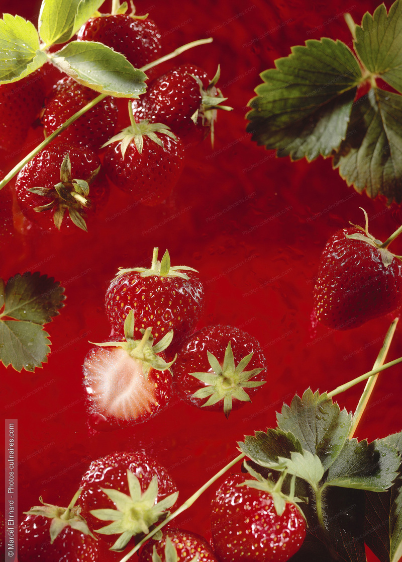 Fraises - photo r&eacute;f&eacute;rence FRU337.jpg