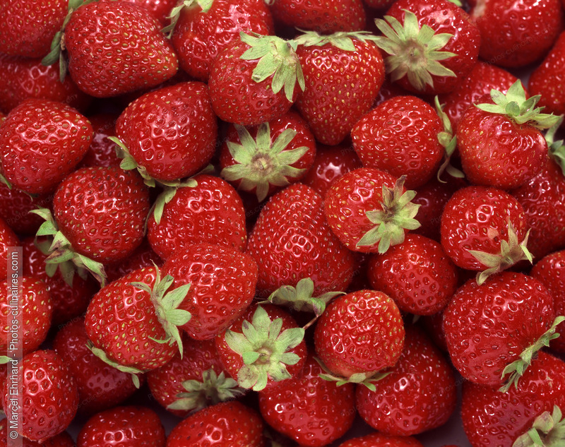 fraises - photo référence FRU4.jpg