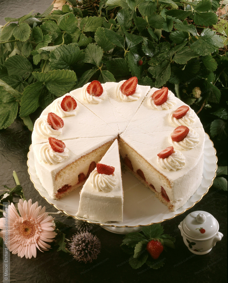Fraisier - photo r&eacute;f&eacute;rence DE12.jpg