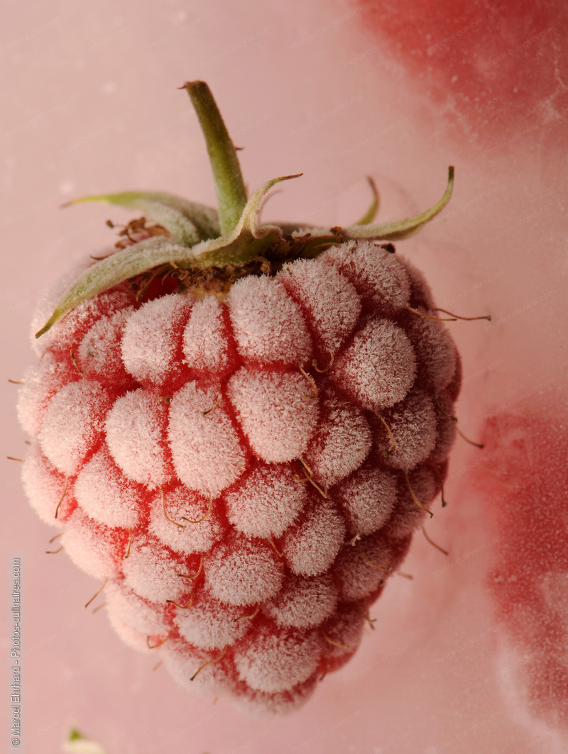 Framboise en gla&ccedil;on - photo r&eacute;f&eacute;rence FRU201N.jpg