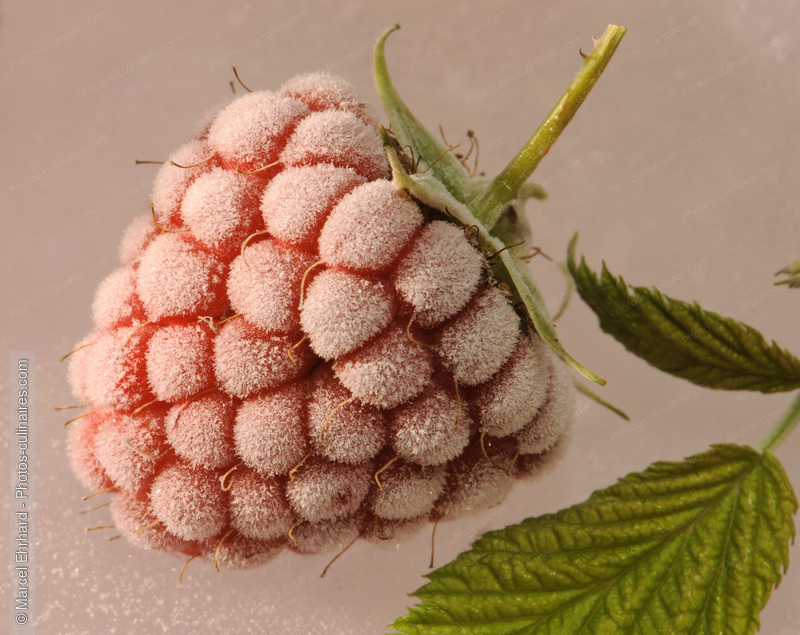 Framboise givr&eacute;e - photo r&eacute;f&eacute;rence FRU199N.jpg