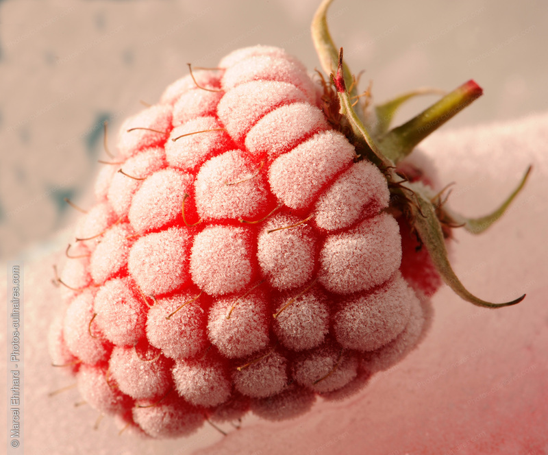 Framboise givr&eacute;e - photo r&eacute;f&eacute;rence FRU200N.jpg
