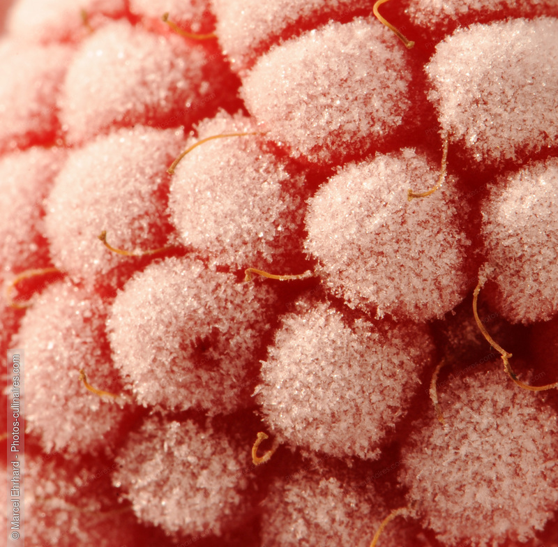 Framboise givr&eacute;e - photo r&eacute;f&eacute;rence FRU203N.jpg