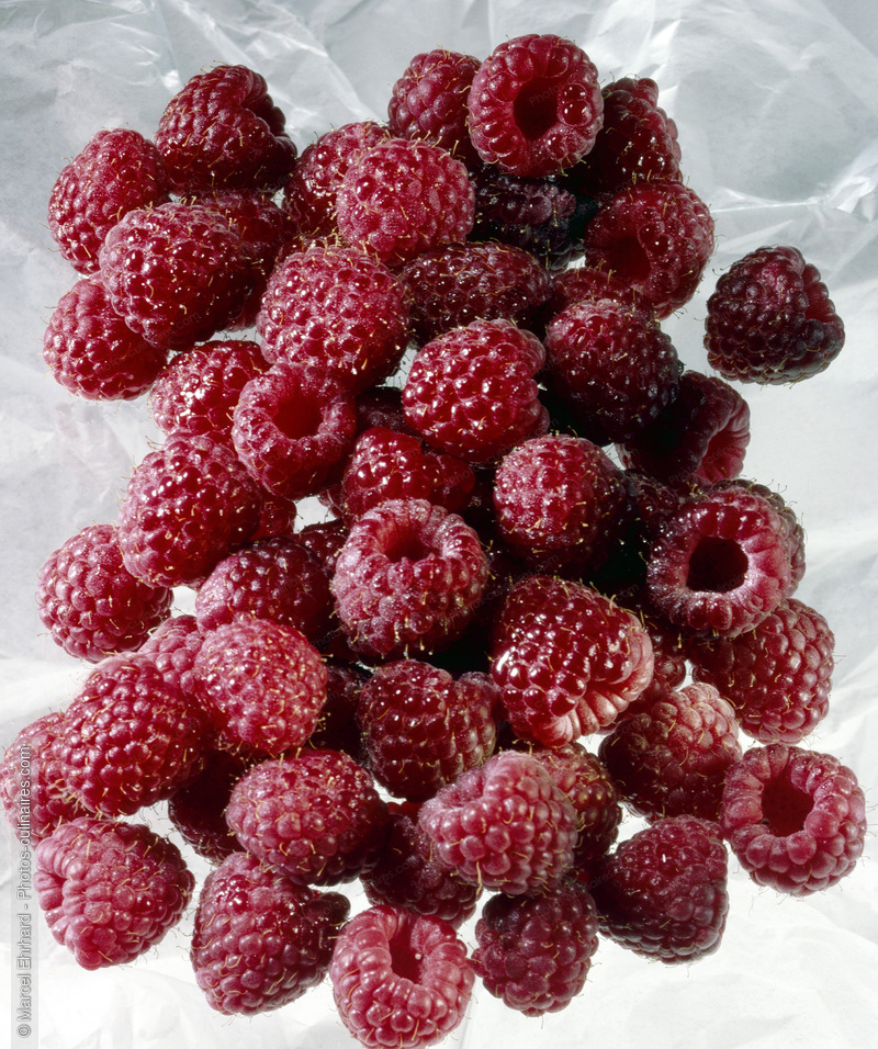Framboises - photo r&eacute;f&eacute;rence FRU114.jpg