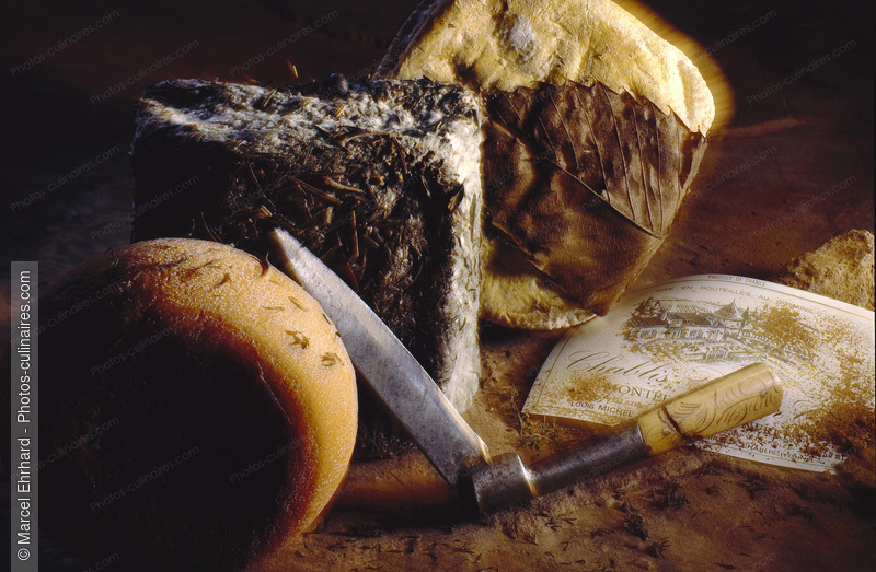 Fromages corses - photo r&eacute;f&eacute;rence FR137.jpg