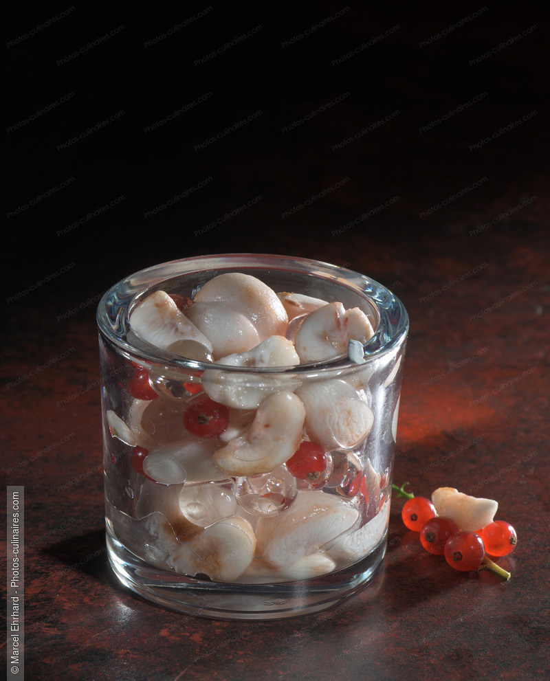 Gel&eacute;e de mangoustan - photo r&eacute;f&eacute;rence DE743N.jpg