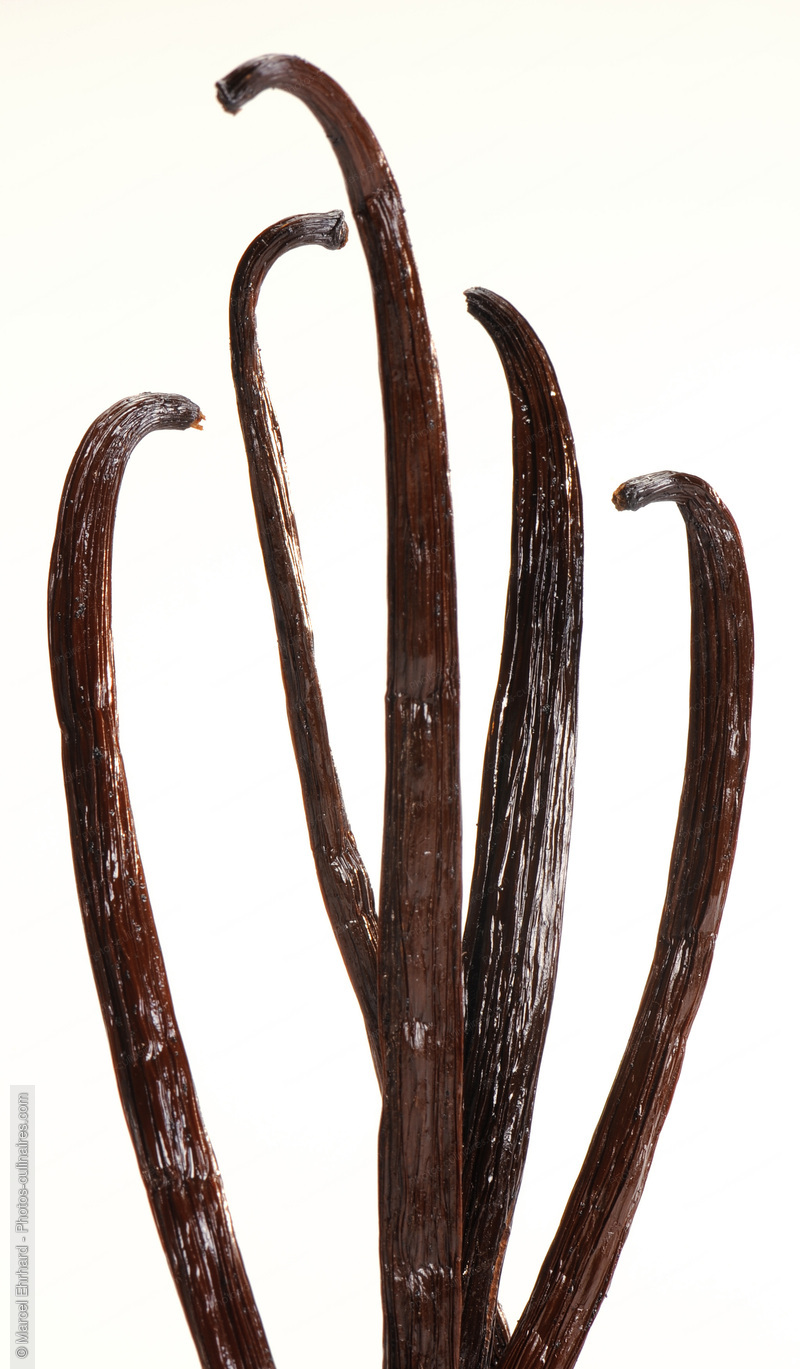 Gousses de vanille - photo r&eacute;f&eacute;rence EP94N.jpg