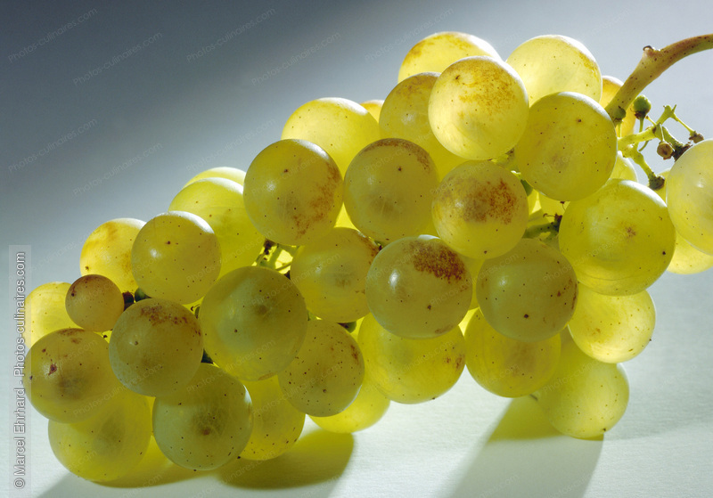 Grappe de raisin blanc - photo r&eacute;f&eacute;rence FRU92.jpg