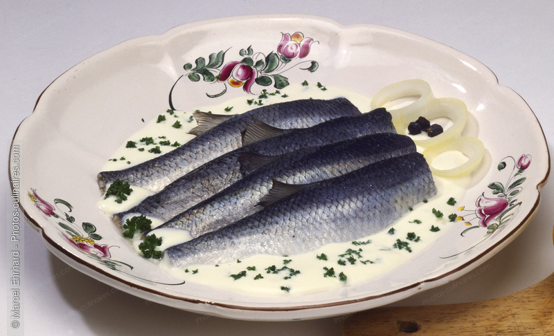 Harengs marin&eacute; a la cr&egrave;me - photo r&eacute;f&eacute;rence PO416.jpg