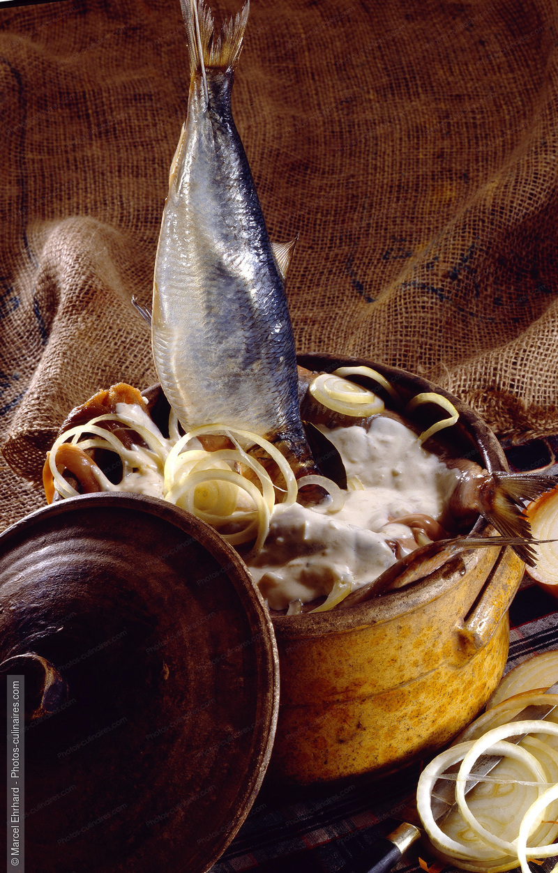 Harengs marin&eacute;s &agrave; la cr&egrave;me - photo r&eacute;f&eacute;rence PO142.jpg