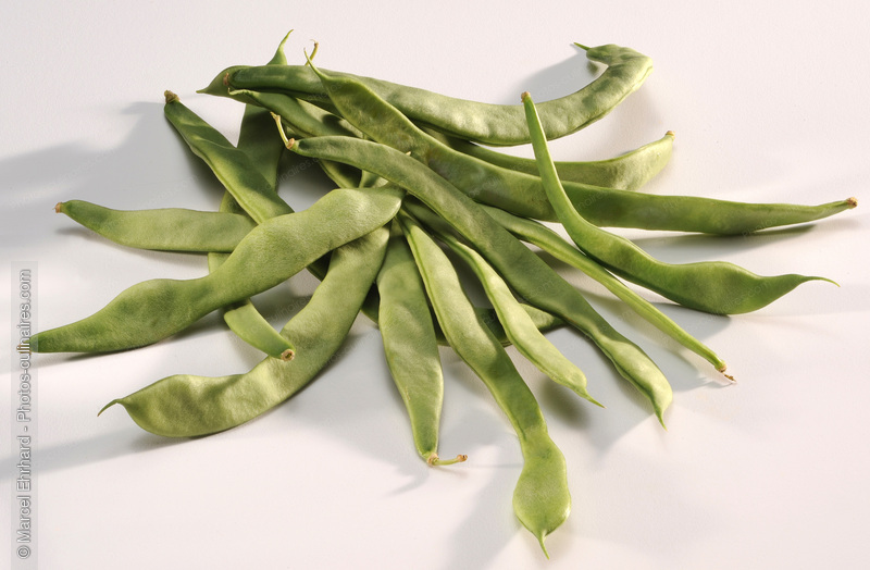 Haricot coco vert plat - photo r&eacute;f&eacute;rence LE557N.jpg