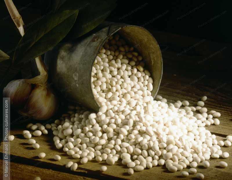 Haricots blancs de soisson - photo r&eacute;f&eacute;rence LE105.jpg