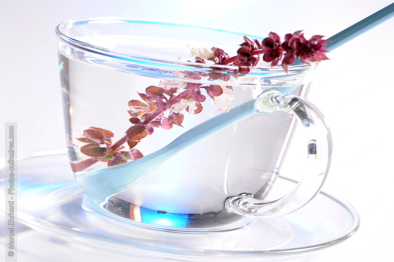 Infusion - photo r&eacute;f&eacute;rence BO293N.jpg