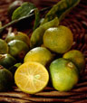 Kalamansi fruit