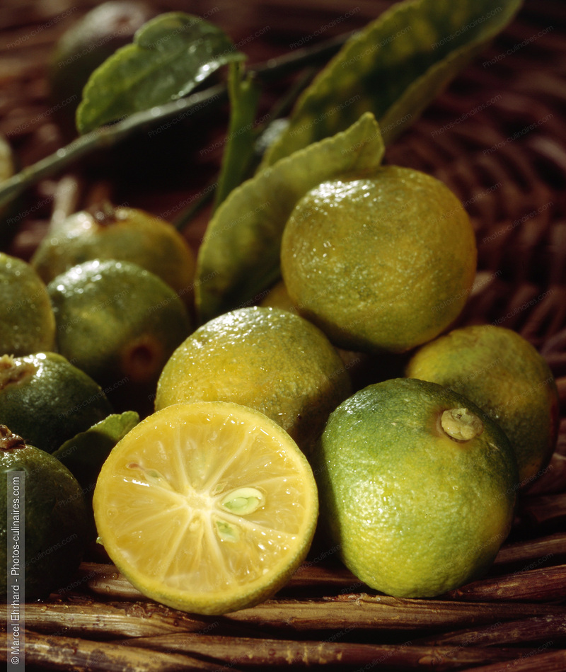 Kalamansi fruit - photo r&eacute;f&eacute;rence FRU226.jpg
