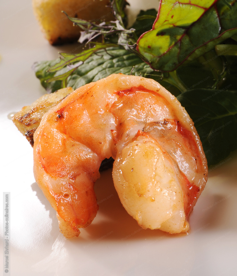 Langoustine grill&eacute;e - photo r&eacute;f&eacute;rence PO504N.jpg
