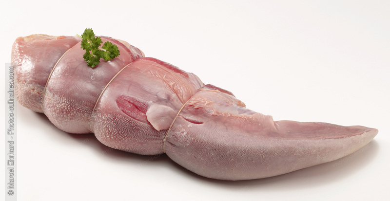 Langue de boeuf crue - photo r&eacute;f&eacute;rence VC289N.jpg