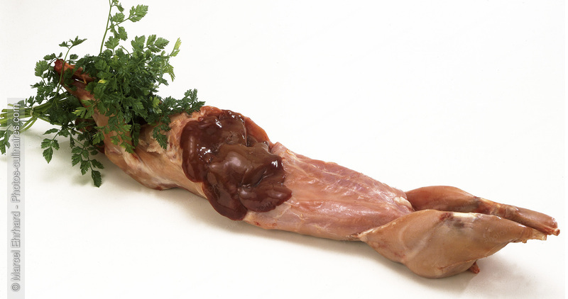 Lapin cru - photo r&eacute;f&eacute;rence VC213.jpg