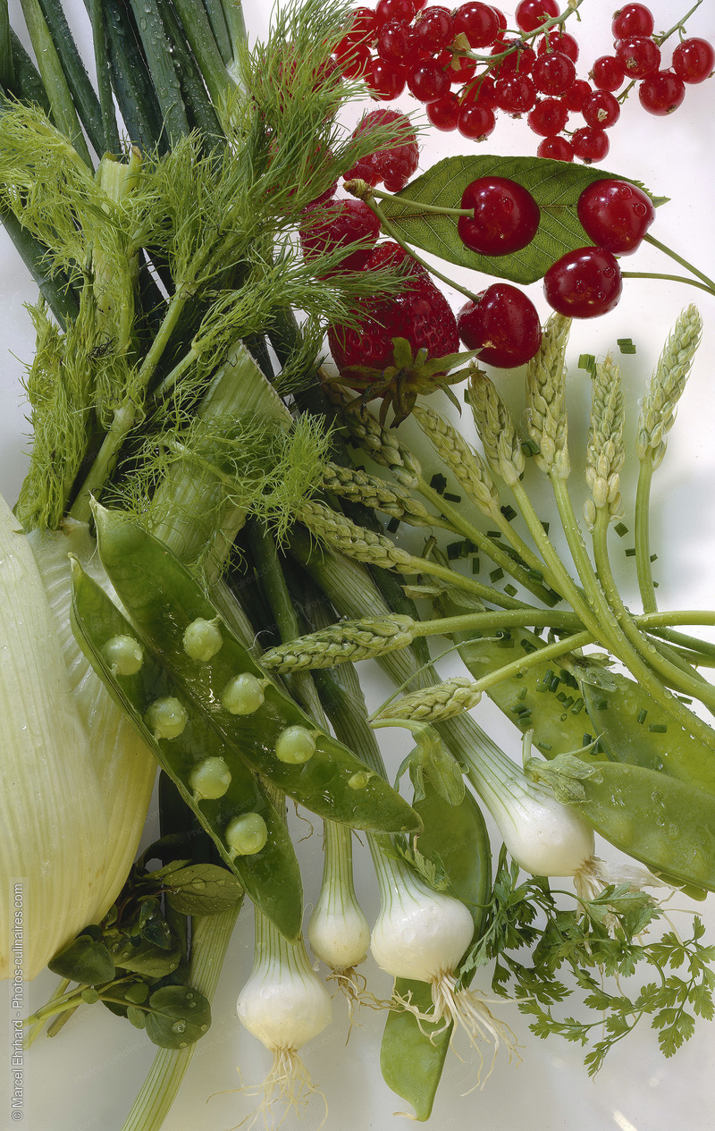 Légumes et fruits frais - photo référence LE312.jpg