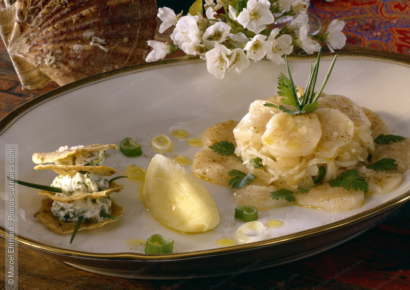 Marin&eacute; de St-Jacques &agrave; la salade de choucroute ti&egrave;de, tuile de seigle au cumin poudre de pomme de terre - photo r&eacute;f&eacute;rence CHO46.jpg