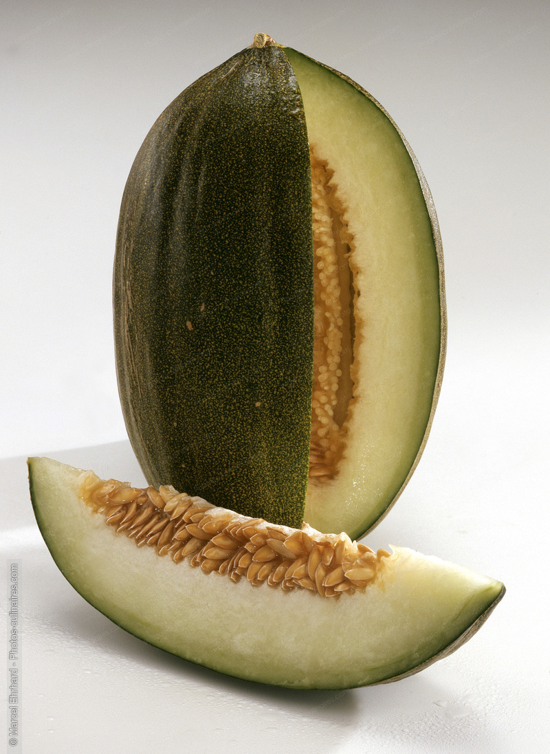 Melon vert - photo référence FRU55.jpg