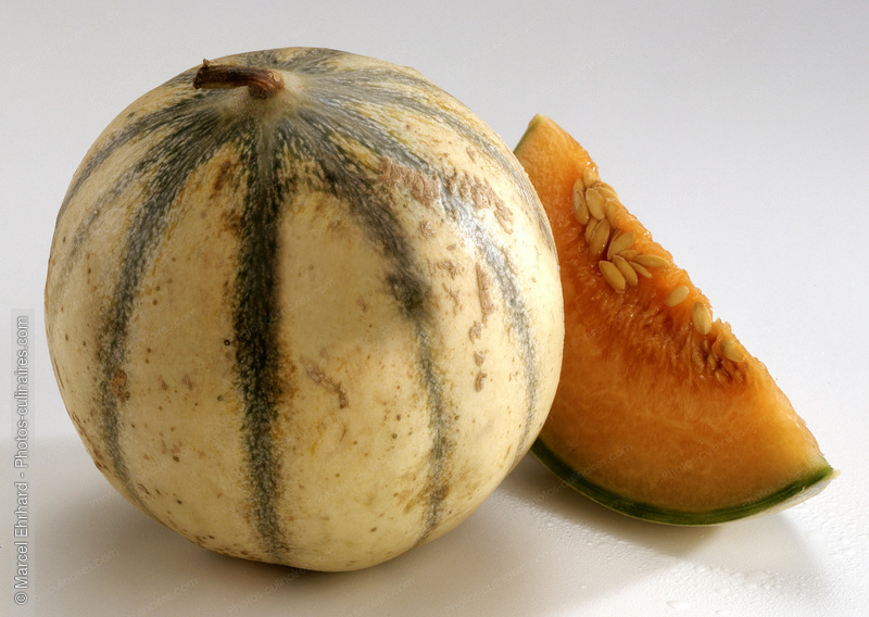 Melon - photo référence FRU57.jpg