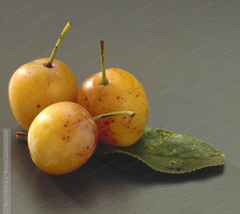 Mirabelles avec feuille - photo r&eacute;f&eacute;rence FRU219.jpg