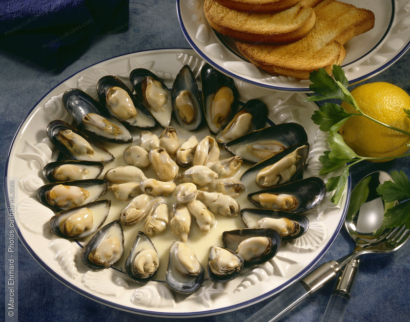 Moules &agrave; la cr&egrave;me et au cidre - photo r&eacute;f&eacute;rence PO253.jpg