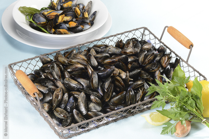Moules crus et cuits - photo r&eacute;f&eacute;rence PO687N.jpg