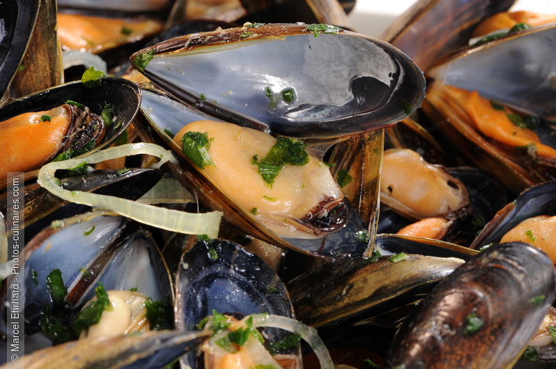 Moules marini&egrave;re - photo r&eacute;f&eacute;rence PO465N.jpg