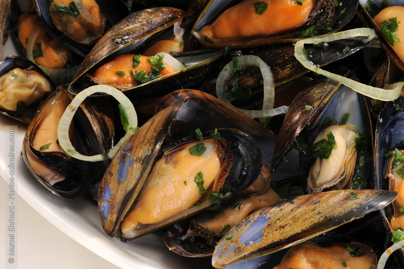 Moules marini&egrave;re - photo r&eacute;f&eacute;rence PO466N.jpg
