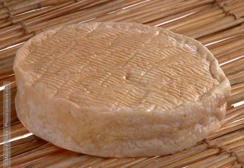 Munster fermier entier - photo r&eacute;f&eacute;rence FR369N.jpg