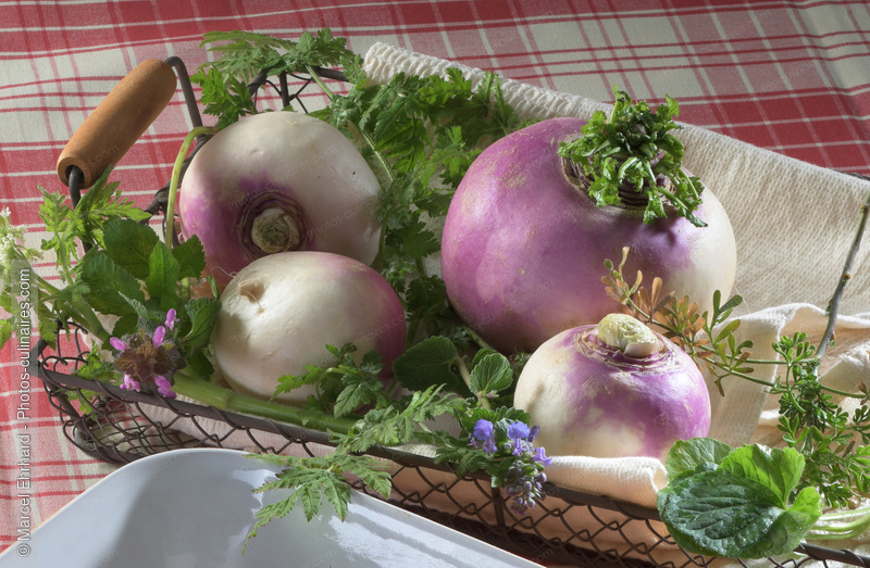 Navet violet - photo r&eacute;f&eacute;rence LE640N.jpg