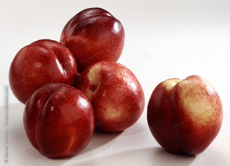 Nectarines blanches - photo r&eacute;f&eacute;rence FRU73.jpg