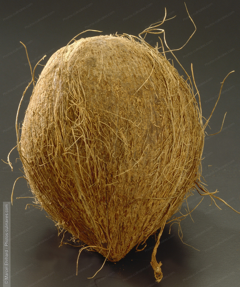 Noix de coco - photo r&eacute;f&eacute;rence FRU217.jpg