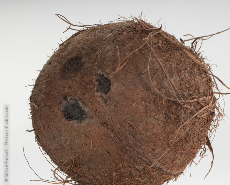 Noix de coco - photo r&eacute;f&eacute;rence FRU381N.jpg
