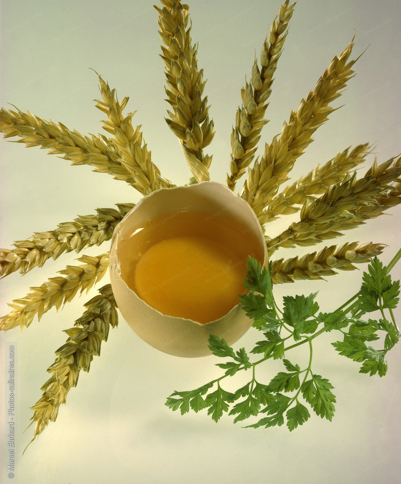 Oeuf cass&eacute; et &eacute;pis de bl&eacute; - photo r&eacute;f&eacute;rence OE16.jpg